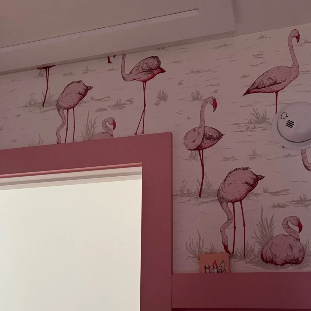 Cole and Sons Flamingo wallpaper